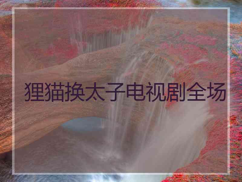 狸猫换太子电视剧全场
