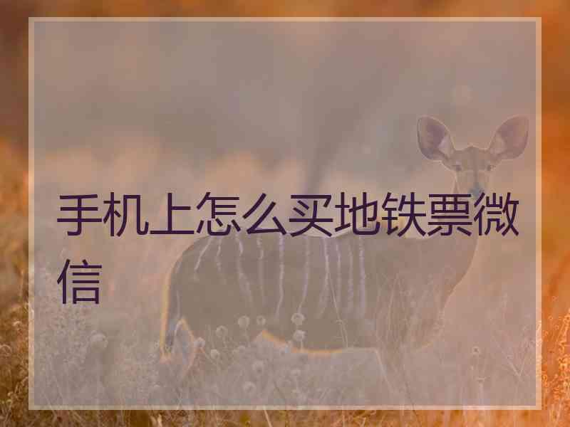 手机上怎么买地铁票微信