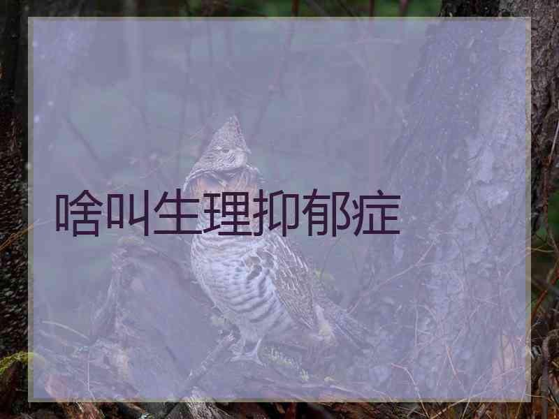 啥叫生理抑郁症