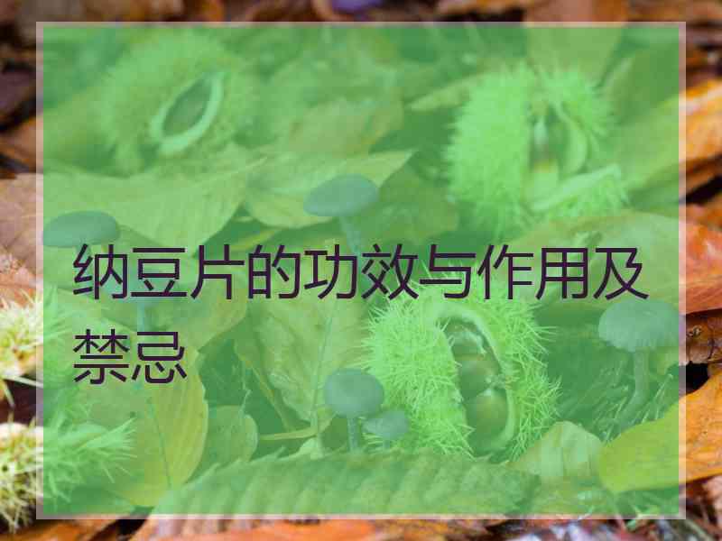 纳豆片的功效与作用及禁忌