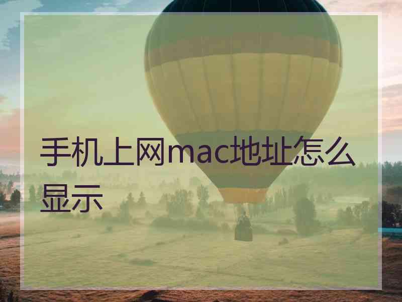 手机上网mac地址怎么显示