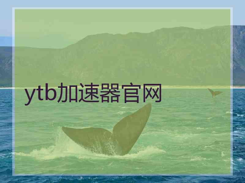 ytb加速器官网