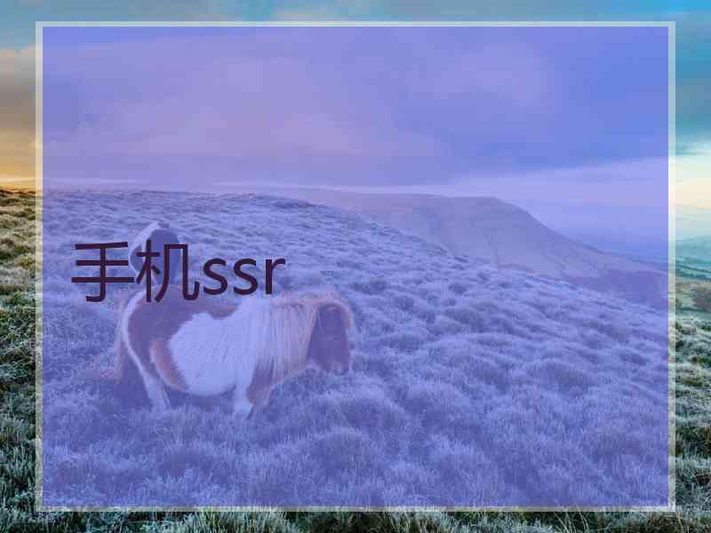 手机ssr