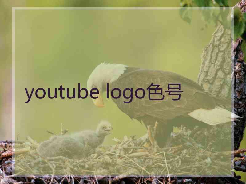 youtube logo色号