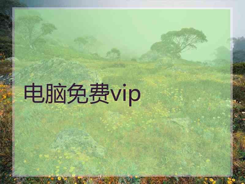 电脑免费vip