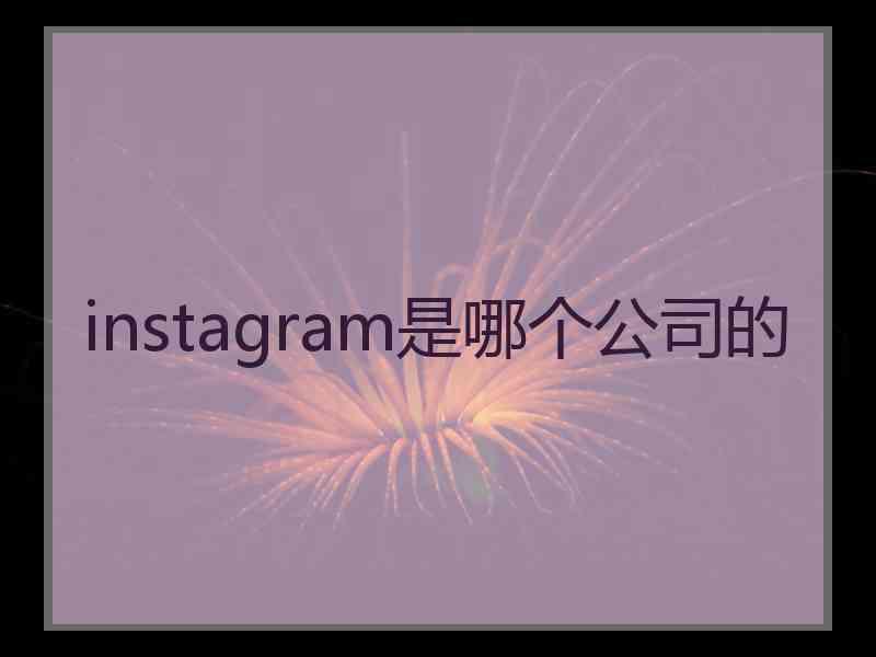 instagram是哪个公司的