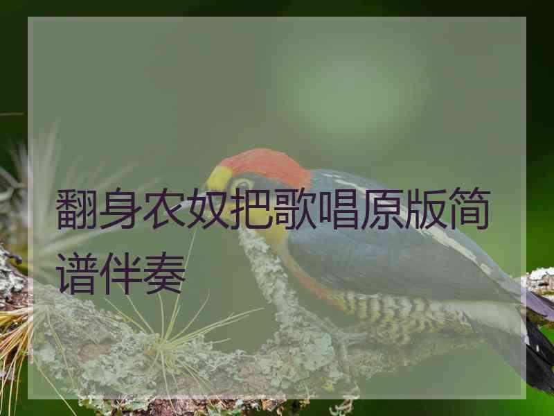 翻身农奴把歌唱原版简谱伴奏