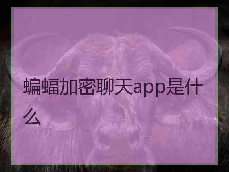 蝙蝠加密聊天app是什么