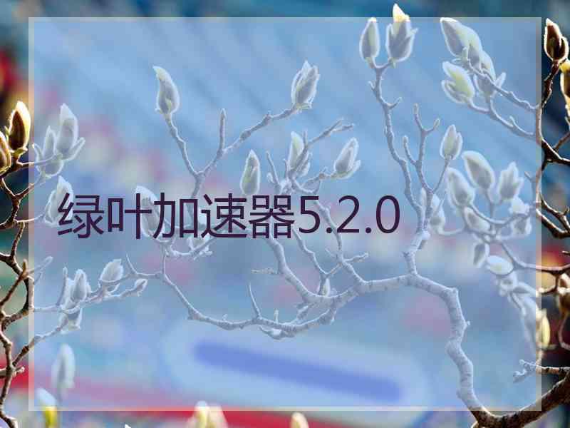 绿叶加速器5.2.0