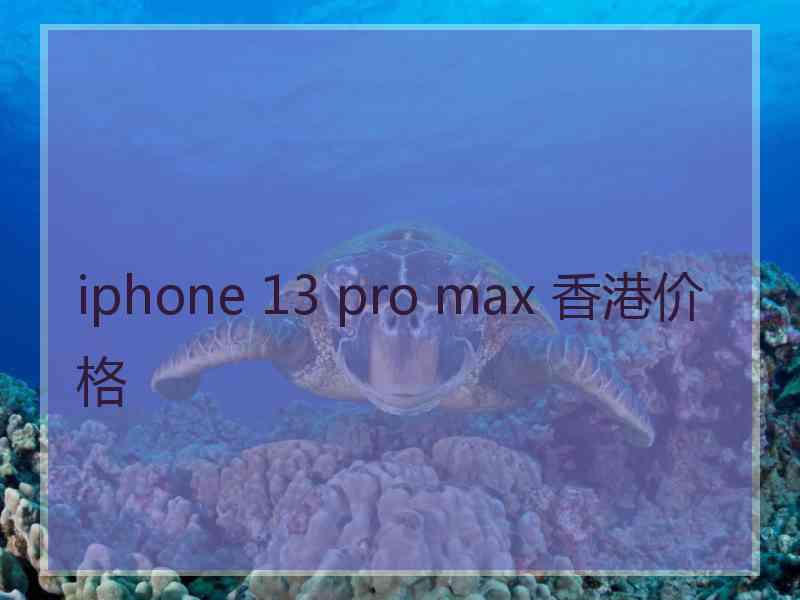 iphone 13 pro max 香港价格