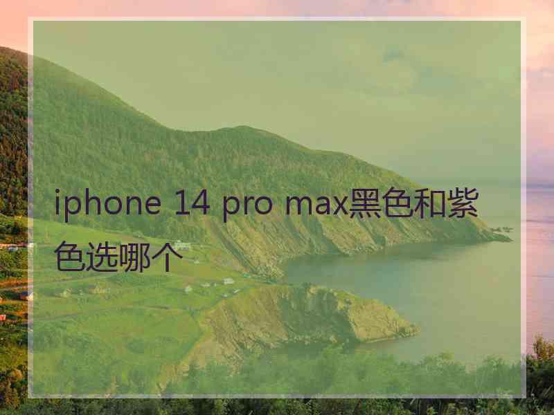 iphone 14 pro max黑色和紫色选哪个