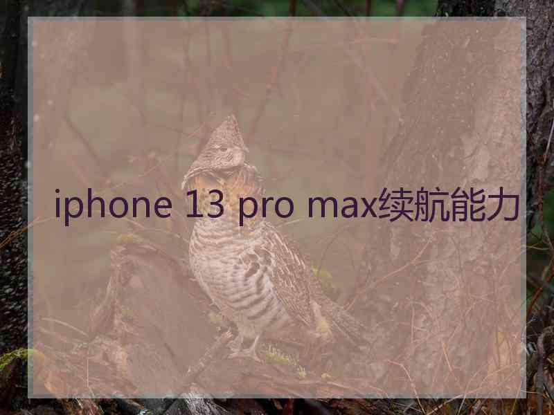 iphone 13 pro max续航能力