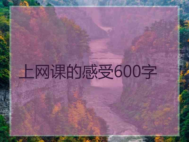 上网课的感受600字