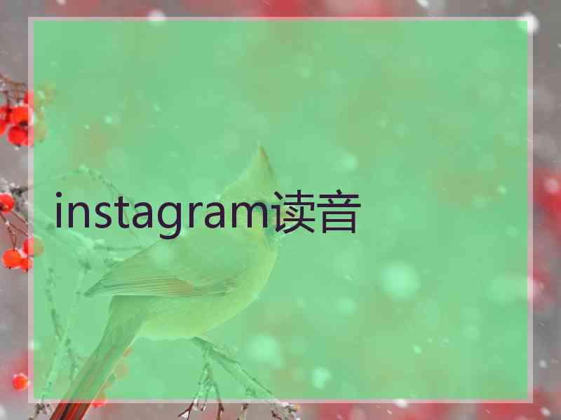 instagram读音