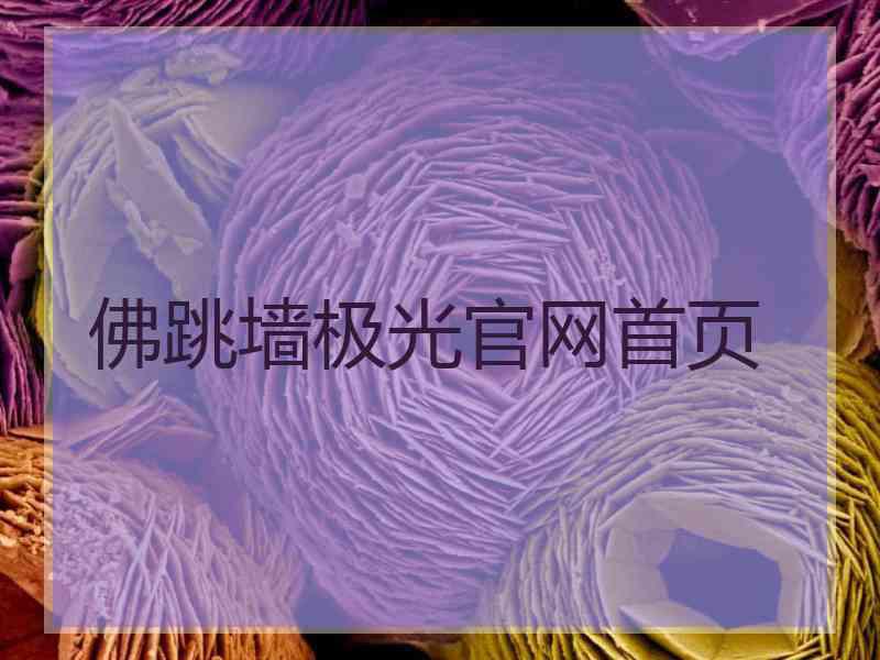 佛跳墙极光官网首页