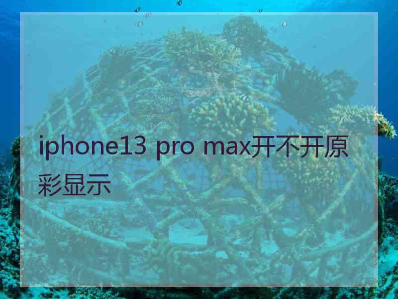 iphone13 pro max开不开原彩显示