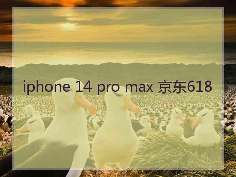 iphone 14 pro max 京东618