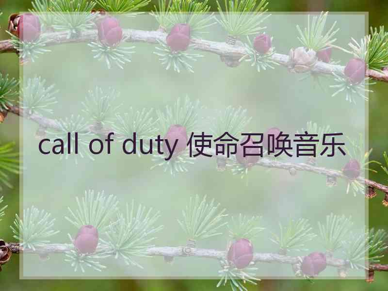 call of duty 使命召唤音乐