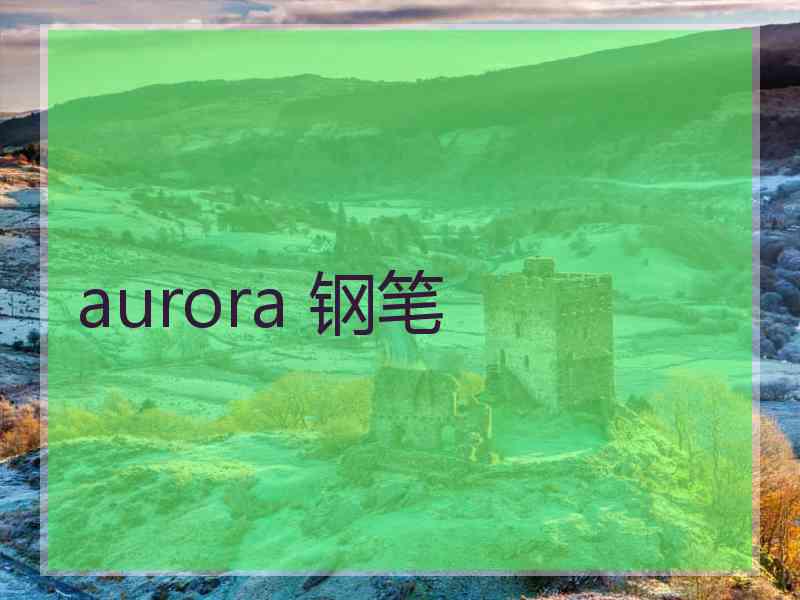 aurora 钢笔