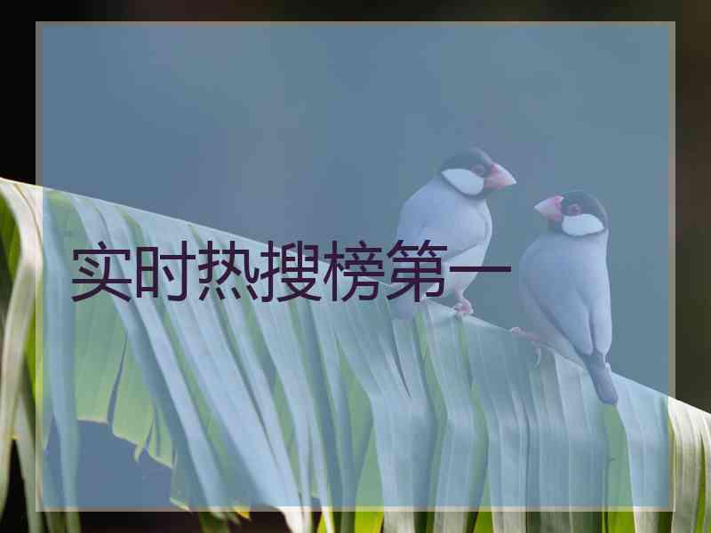 实时热搜榜第一