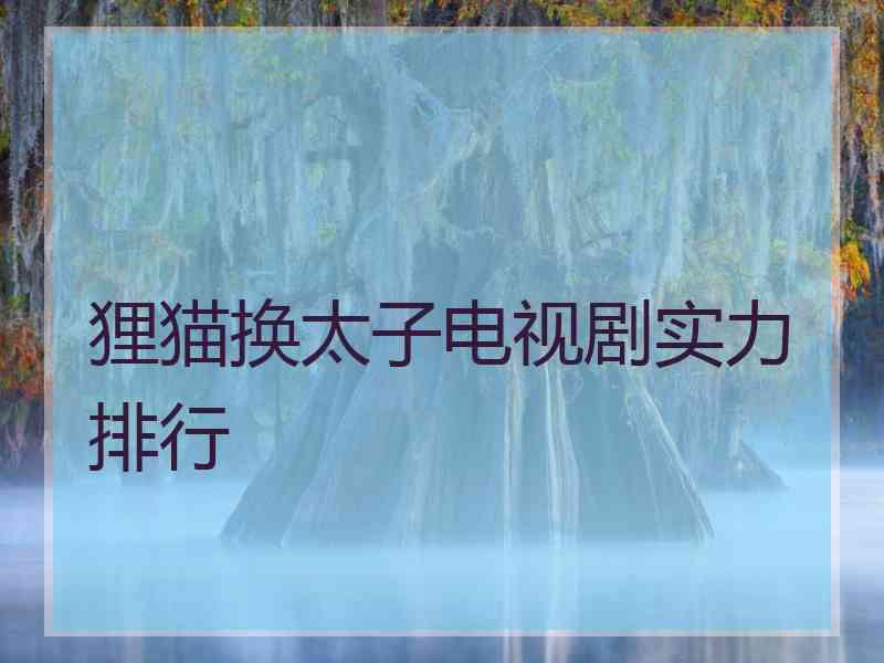 狸猫换太子电视剧实力排行