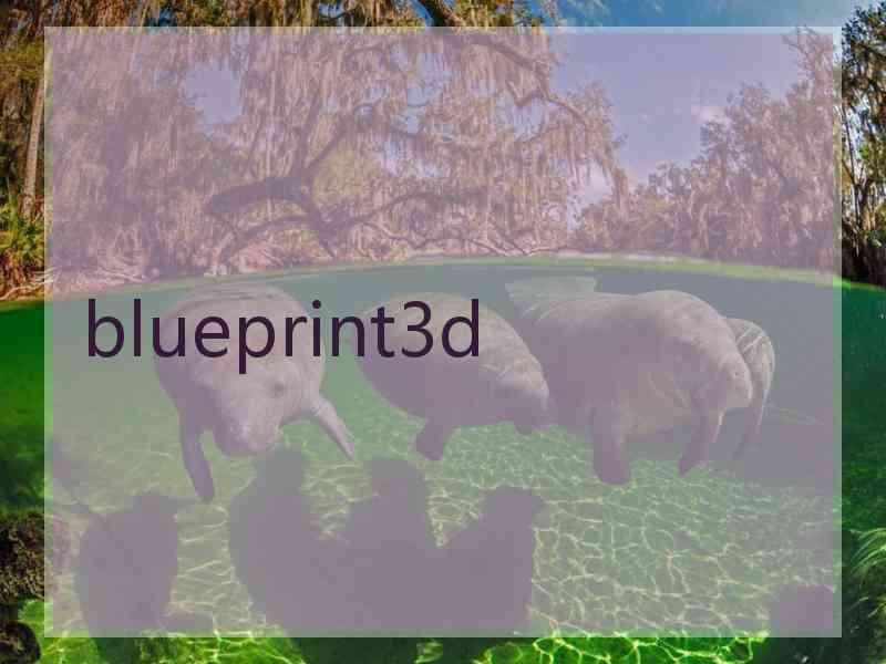 blueprint3d