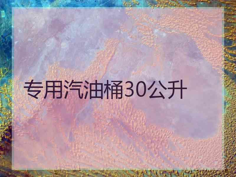 专用汽油桶30公升