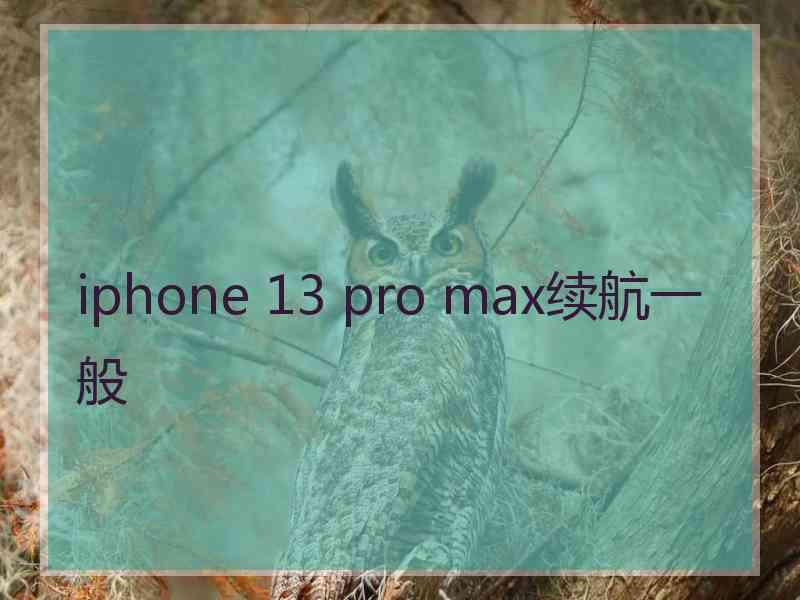 iphone 13 pro max续航一般