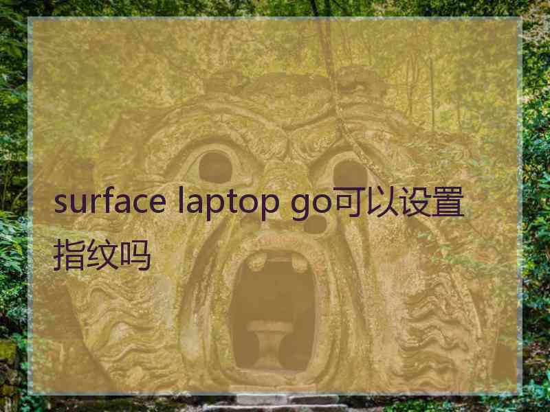 surface laptop go可以设置指纹吗