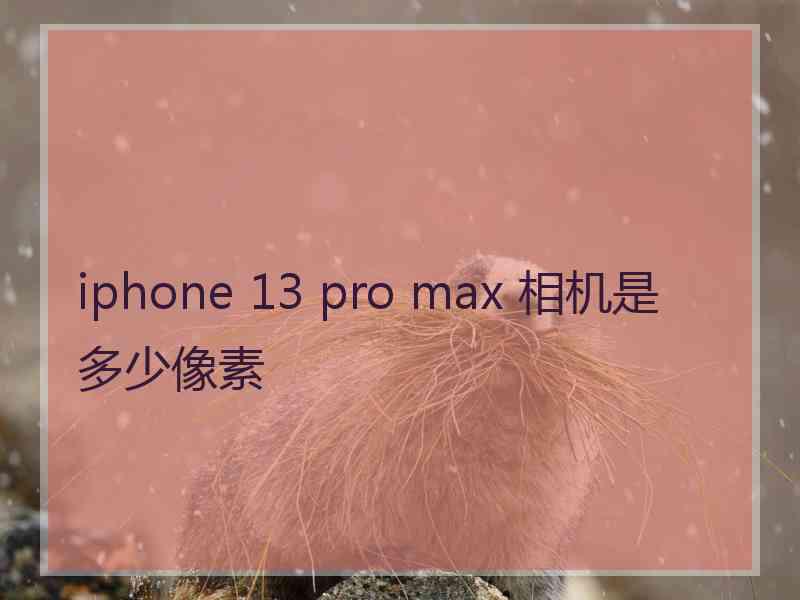 iphone 13 pro max 相机是多少像素