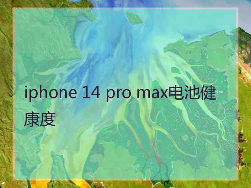 iphone 14 pro max电池健康度