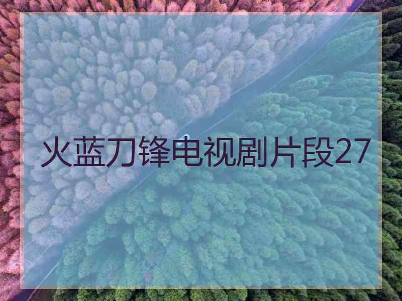 火蓝刀锋电视剧片段27