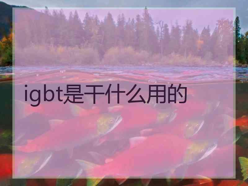 igbt是干什么用的