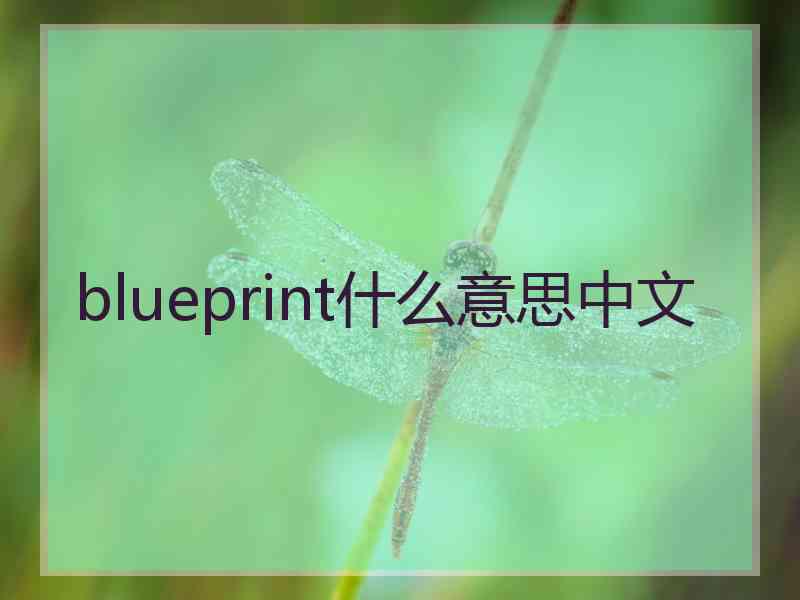 blueprint什么意思中文