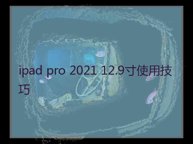 ipad pro 2021 12.9寸使用技巧