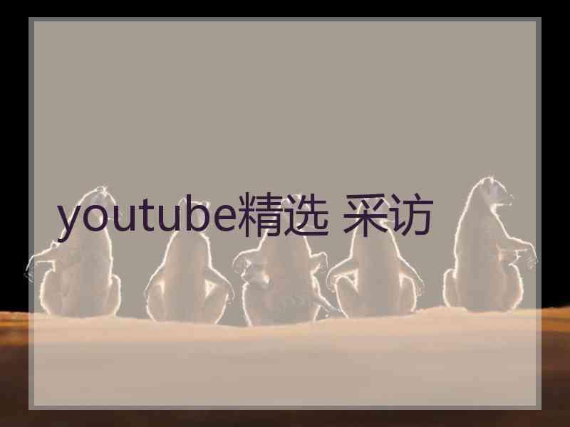 youtube精选 采访