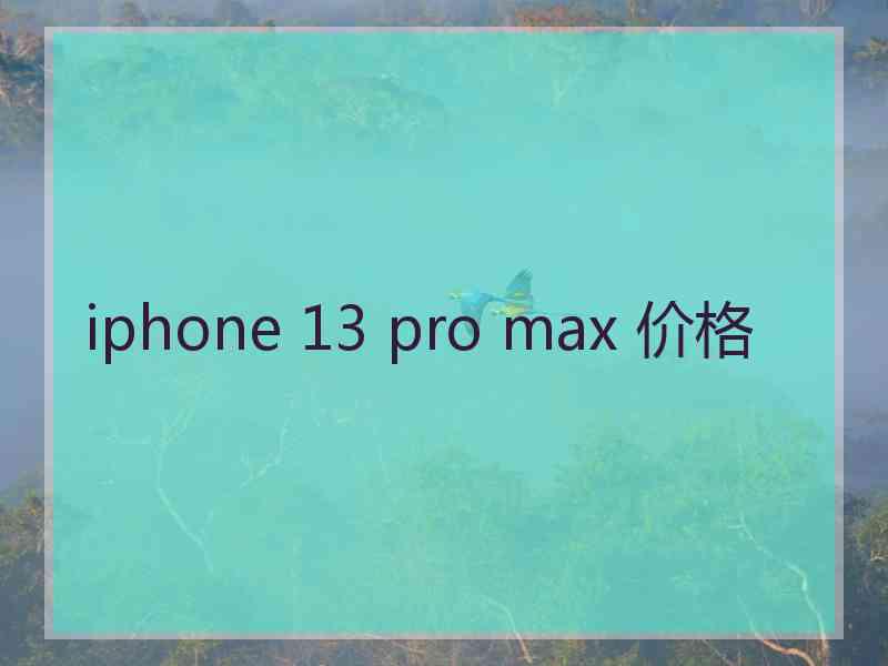 iphone 13 pro max 价格