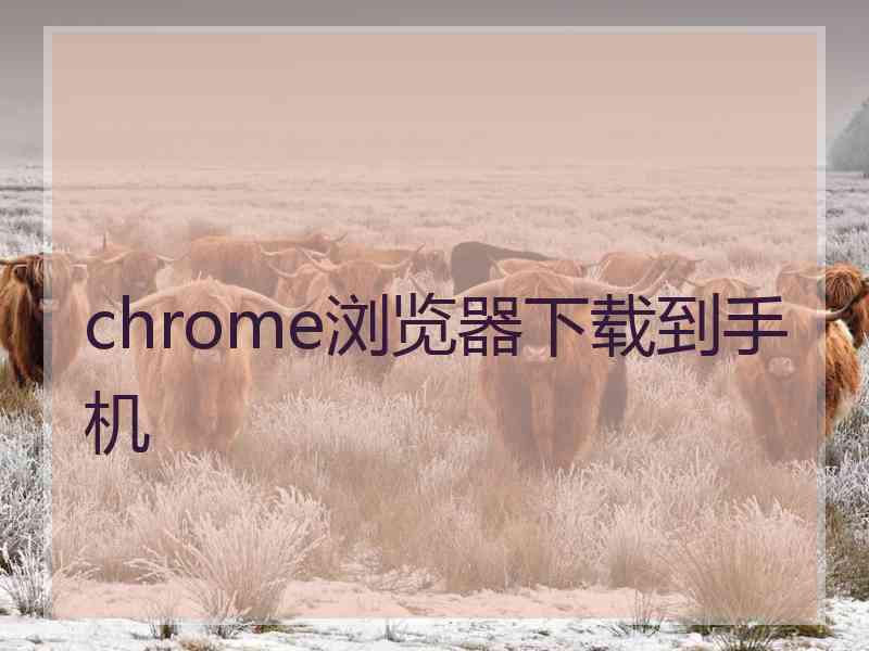 chrome浏览器下载到手机