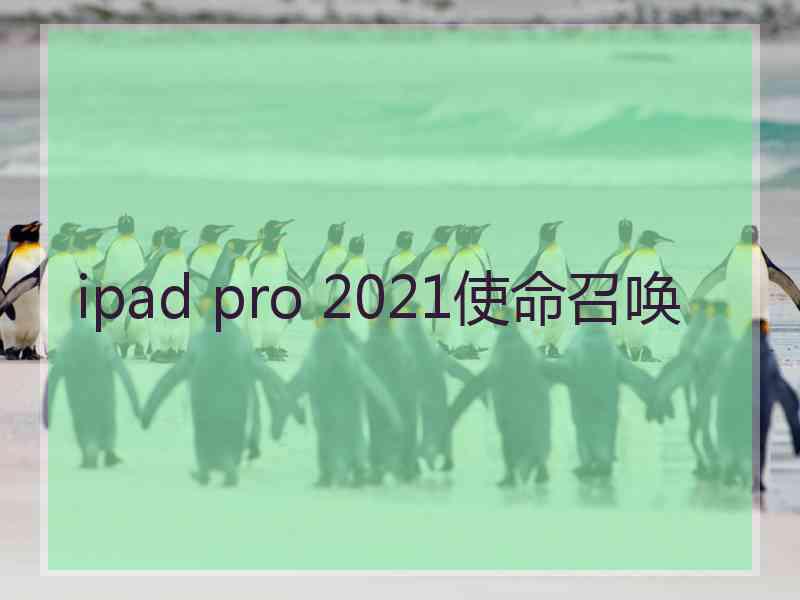 ipad pro 2021使命召唤