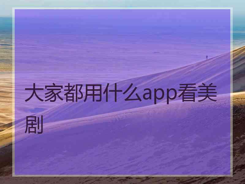 大家都用什么app看美剧