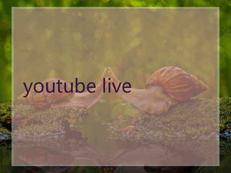 youtube live