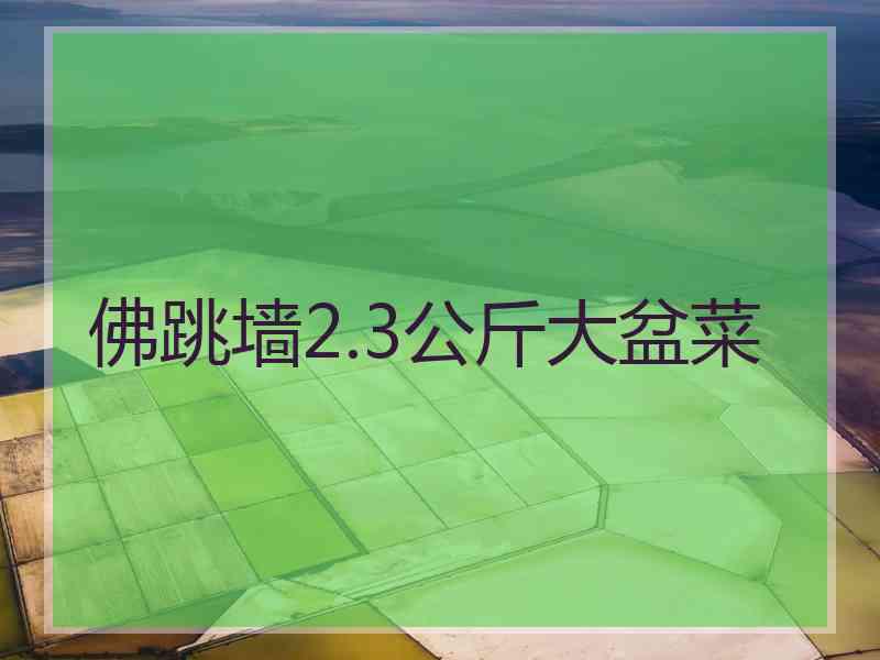 佛跳墙2.3公斤大盆菜