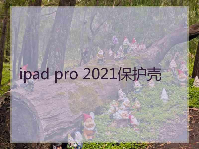 ipad pro 2021保护壳