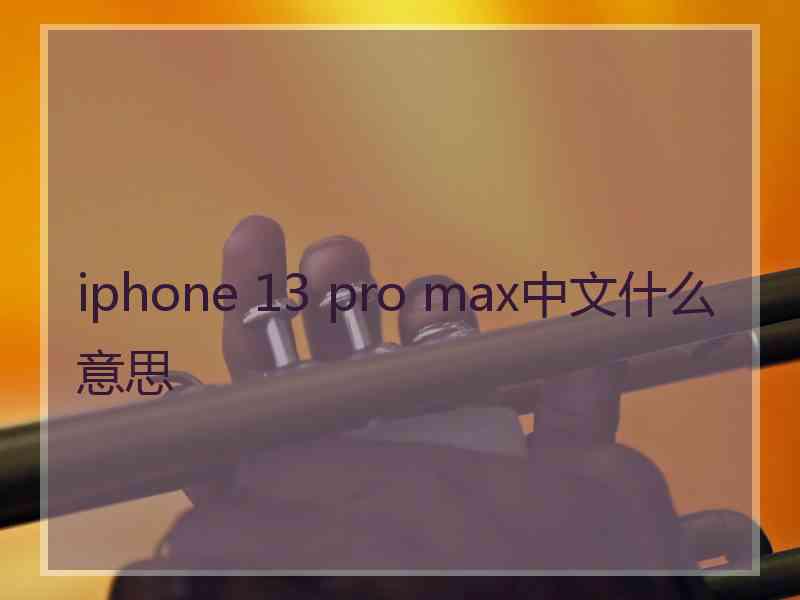 iphone 13 pro max中文什么意思