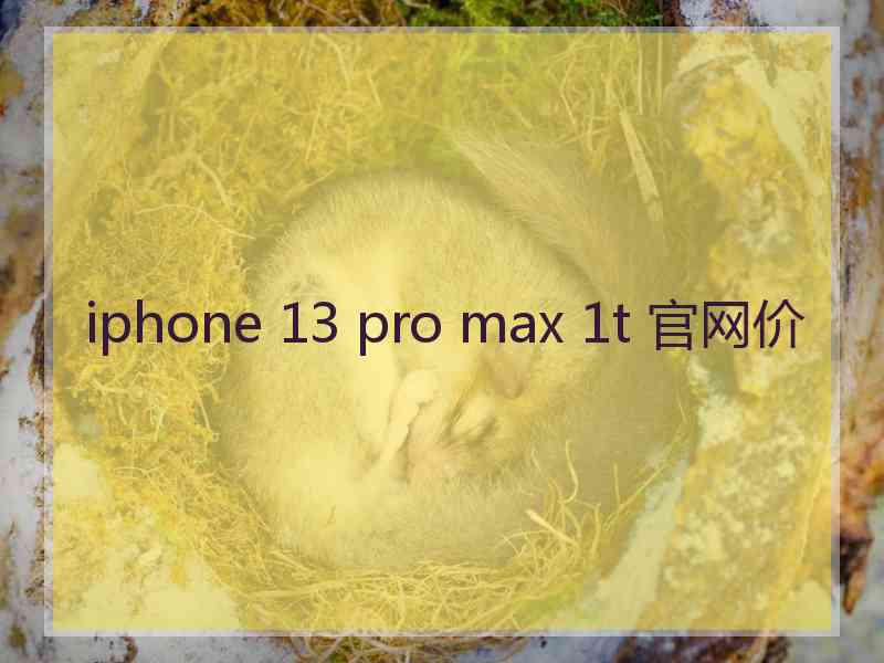 iphone 13 pro max 1t 官网价