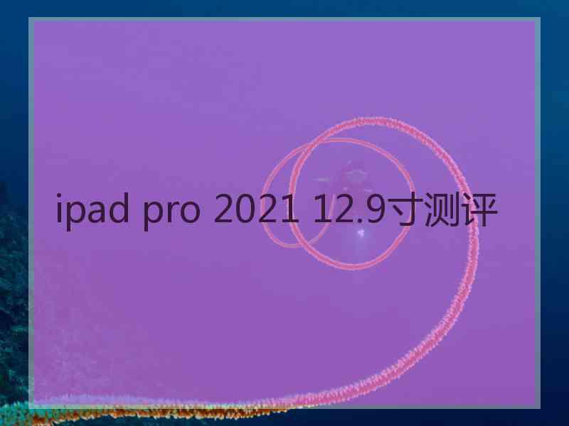 ipad pro 2021 12.9寸测评