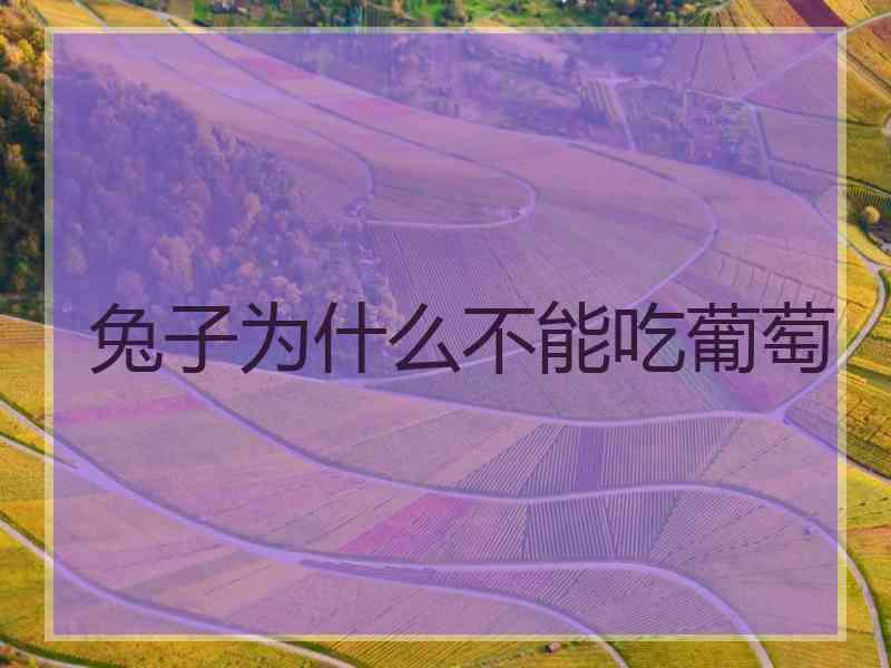兔子为什么不能吃葡萄