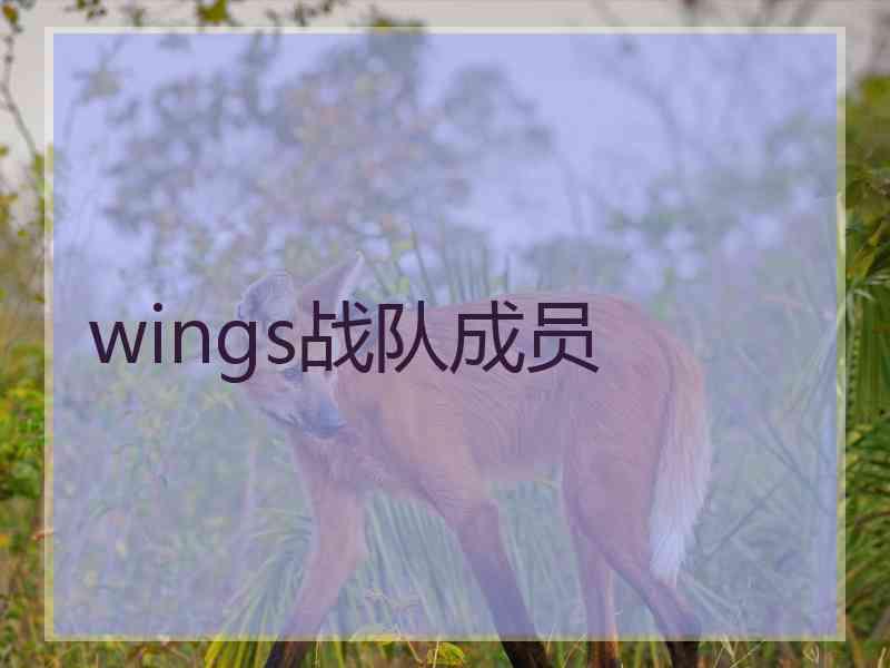 wings战队成员