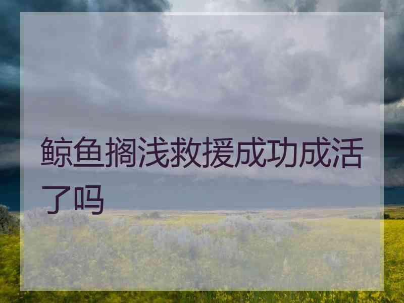 鲸鱼搁浅救援成功成活了吗