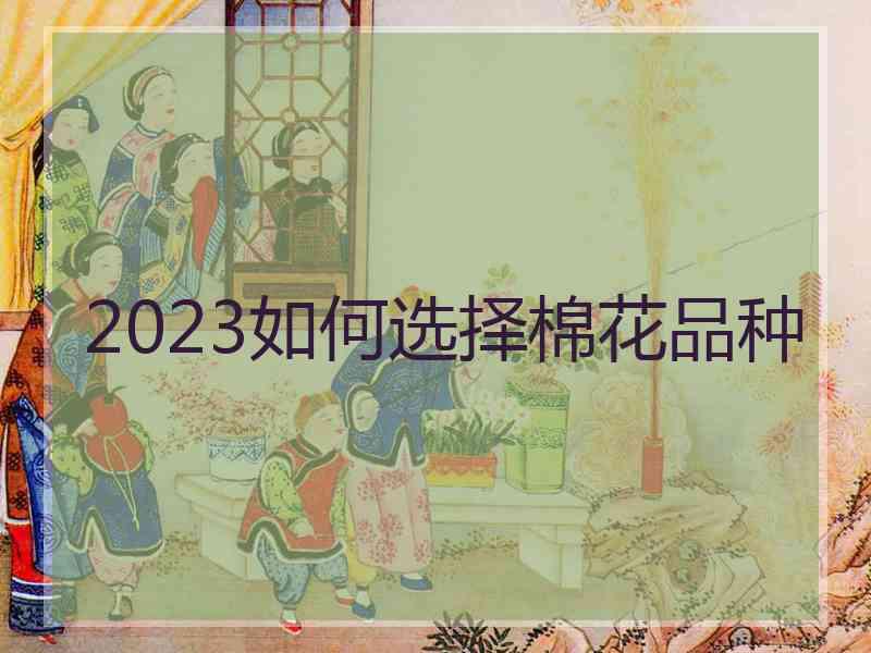 2023如何选择棉花品种